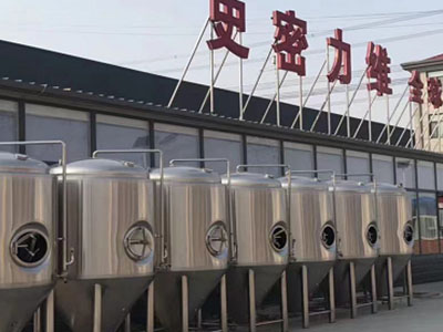 自流井精酿啤酒设备厂—如何判断精酿啤酒设备的密封件需要更换？